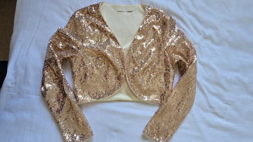 Rose gold sequin long sleeve - long,