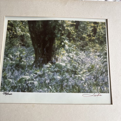 Patrick lichfield signed - patrick, photo