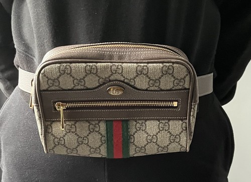 Gucci supreme ophidia - gg,