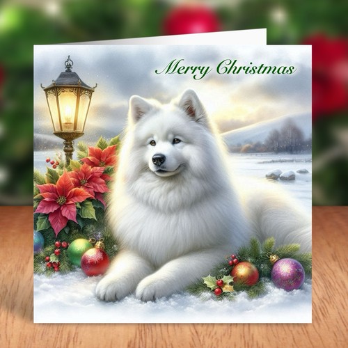 Samoyed dog christmas card - samoyed,
