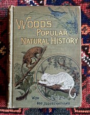 Wood's Popular Natural History