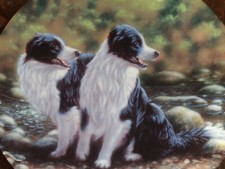 Lovely Danbury Mint Royal Worcester Border Collie Plate DOUBLE TAKE