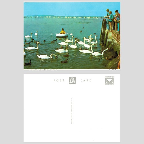 Vintage postcard view - postcard, from