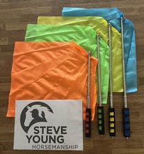 Natural Horsemanship