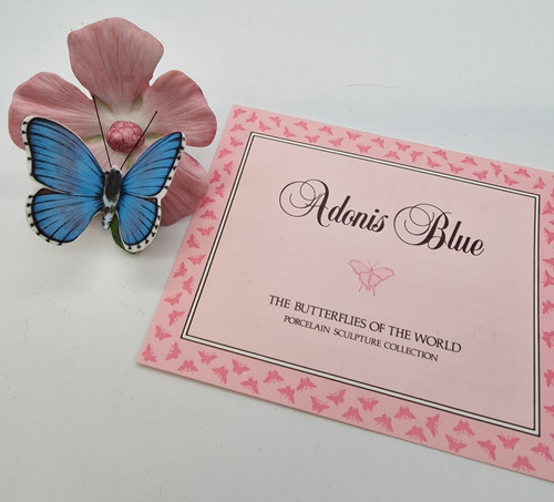 Adonis blue butterflies of - butterflies,