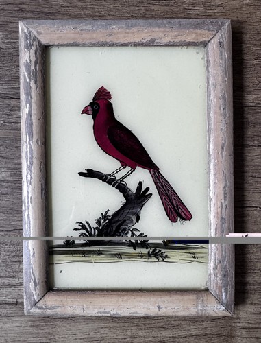Indian cardinal vintage - cardinal,
