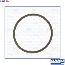 SEAL INJECTION PUMP 16027800