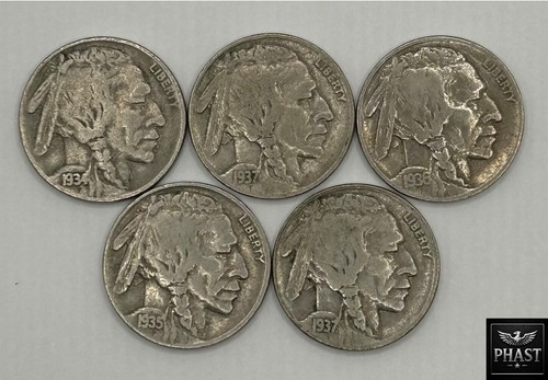 Lot buffalo indian head - /,