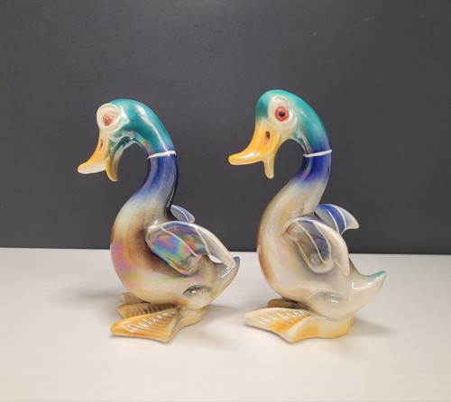 Vintage duck mallard - /,