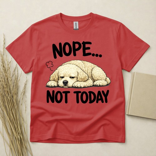 Poodle nope not today - not,