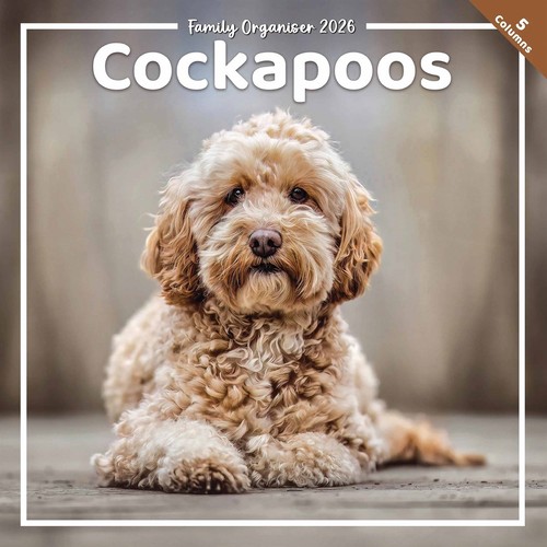Cockapoo family organiser - cockapoo,