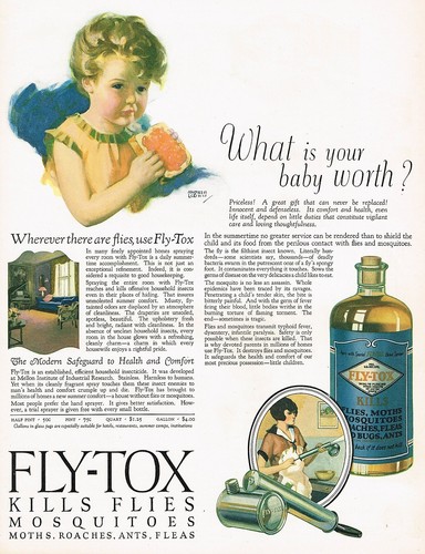 1920s big vintage fly - big,