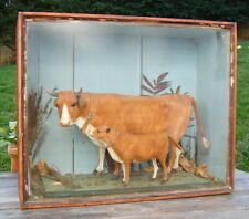  RARE CASED VICTORIAN CARVED WOOD & PAINTED GESSO COW WITH CALF DIORAMA CATTLE