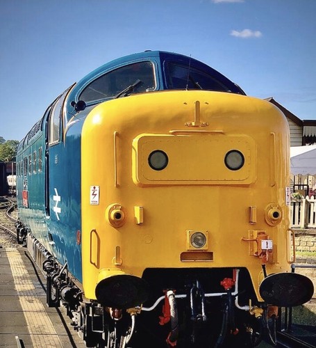 Gauge farish class 55 - ,