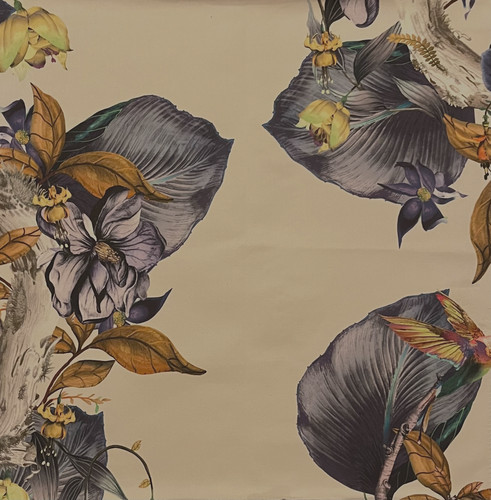 Osborne little rain forest - little,