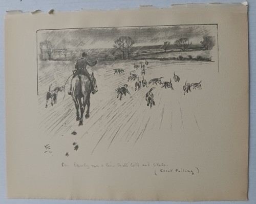 Lionel edwards sketch - sketch,
