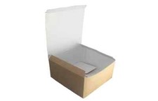 Burger Food Box Compostable