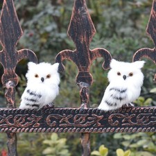 Simulation Fur Simulation Owl