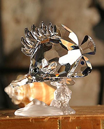 Swarovski crystal longnose - swarovski,