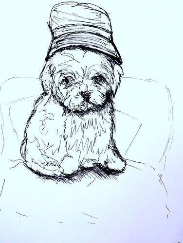 Maltese puppy bucket hat - puppy, pen