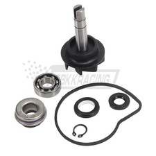 Water Pump Repair KIt Oring