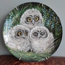 Baby Owls Decorative Wall