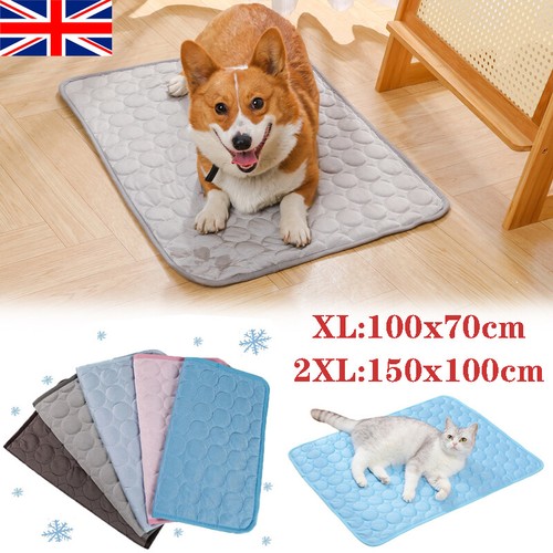 Pet cooling mat - mat, dog