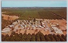 Lake Wales Florida, Parakeet