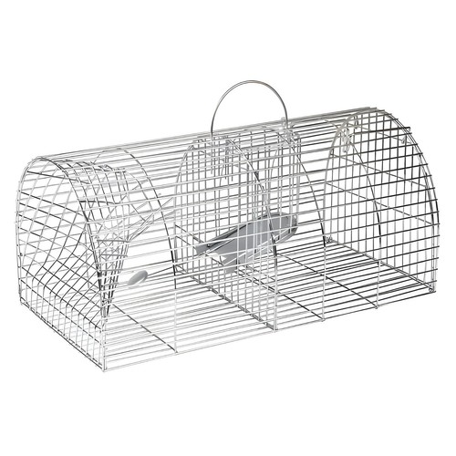 Monarch live multi - monarch, multi-catch