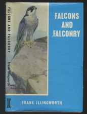 FALCONS AND FALCONRY by  ILLINGWORTH  HAWKING, BIRDS OF PREY