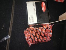 Delphi LW21898 Wheel Cylinder