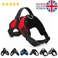 Dog Harness No Pull For Small
