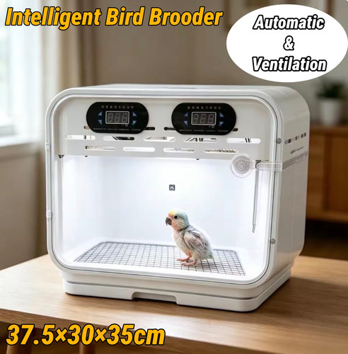 Intelligent bird brooder - bird,