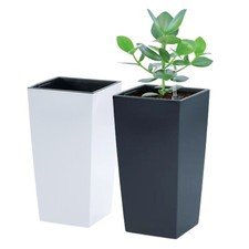 Tall planter plant - plant, pot