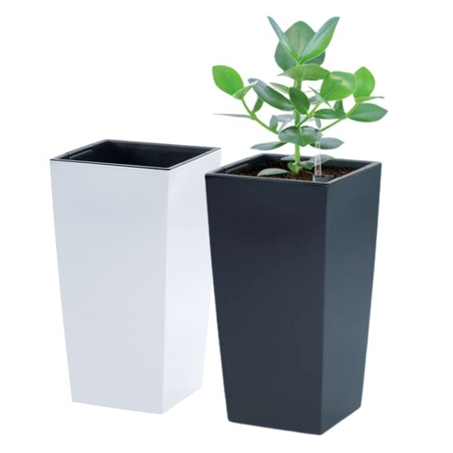 Tall planter plant - pot, flower