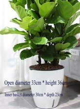 BIG Self-Watering Plastic Flower Plant Pot House Windowsill Planter Trough White