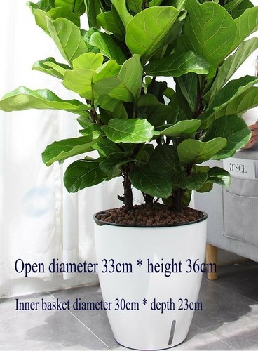Big self watering - big, self-watering