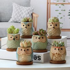 6pcs Animal Design Mini Plant
