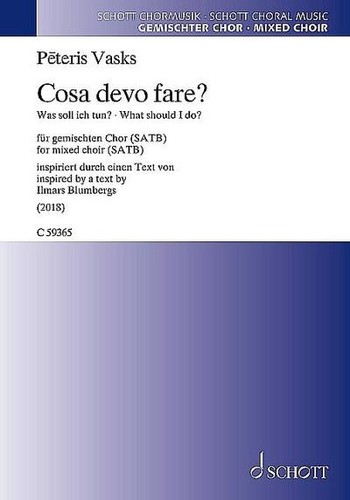 Cosa devo fare what should - devo,
