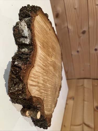 Log slice rustic wood - log,