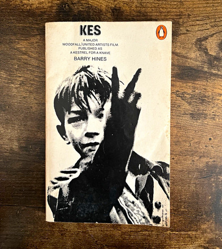 Barry hines kes - a, kestrel