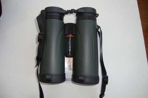 Orazum bird watching - bird,
