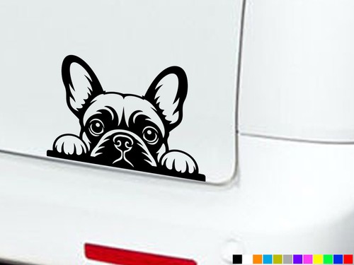 French bulldog car stickers - bulldog,