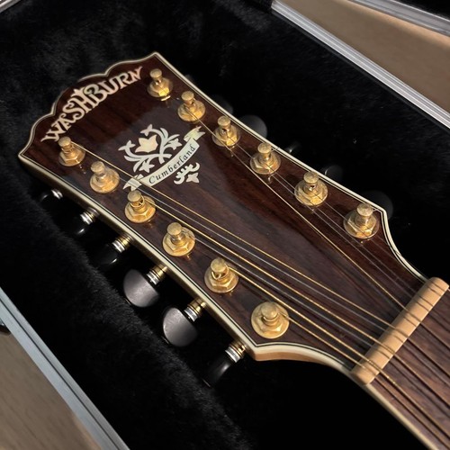Washburn cumberland string - 12,