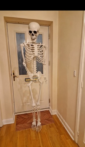 165cm tall halloween - halloween, poseable