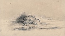 Pencil Drawing - Baron Bernard