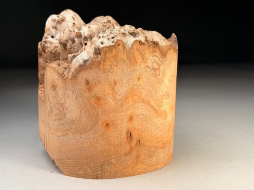 Live edge burr - elm, resin