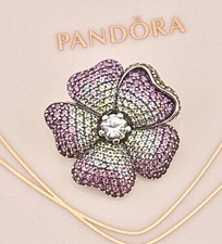 LIMITED EDITION New Pandora