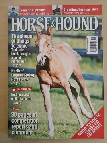 Horse hound 31 - hound, may