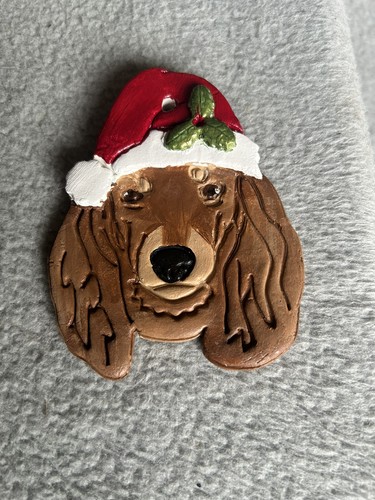 Dachshund dog hanging